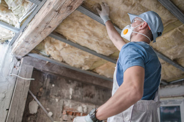 Best Residential Insulation in Auburn, AL
