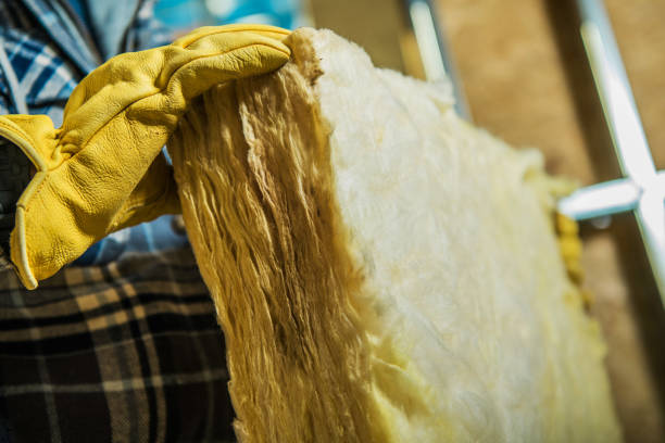 Best Geographic-Specific Insulation Services in Auburn, AL