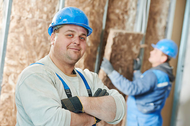 Best Insulation Maintenance and Repair in Auburn, AL