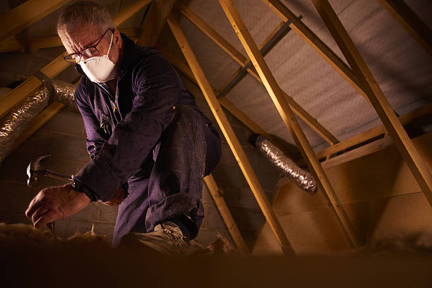 Best Geographic-Specific Insulation Services in Auburn, AL
