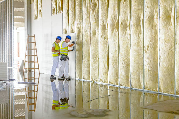 Best Spray Foam Insulation in Auburn, AL
